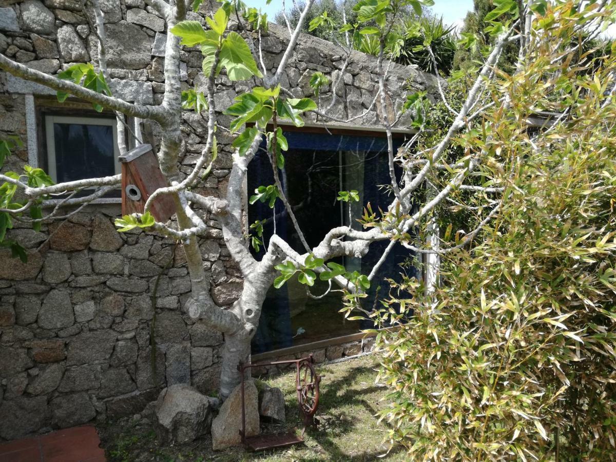 Hotel Agriturismo La Valletta Santa Teresa Gallura Exterior foto